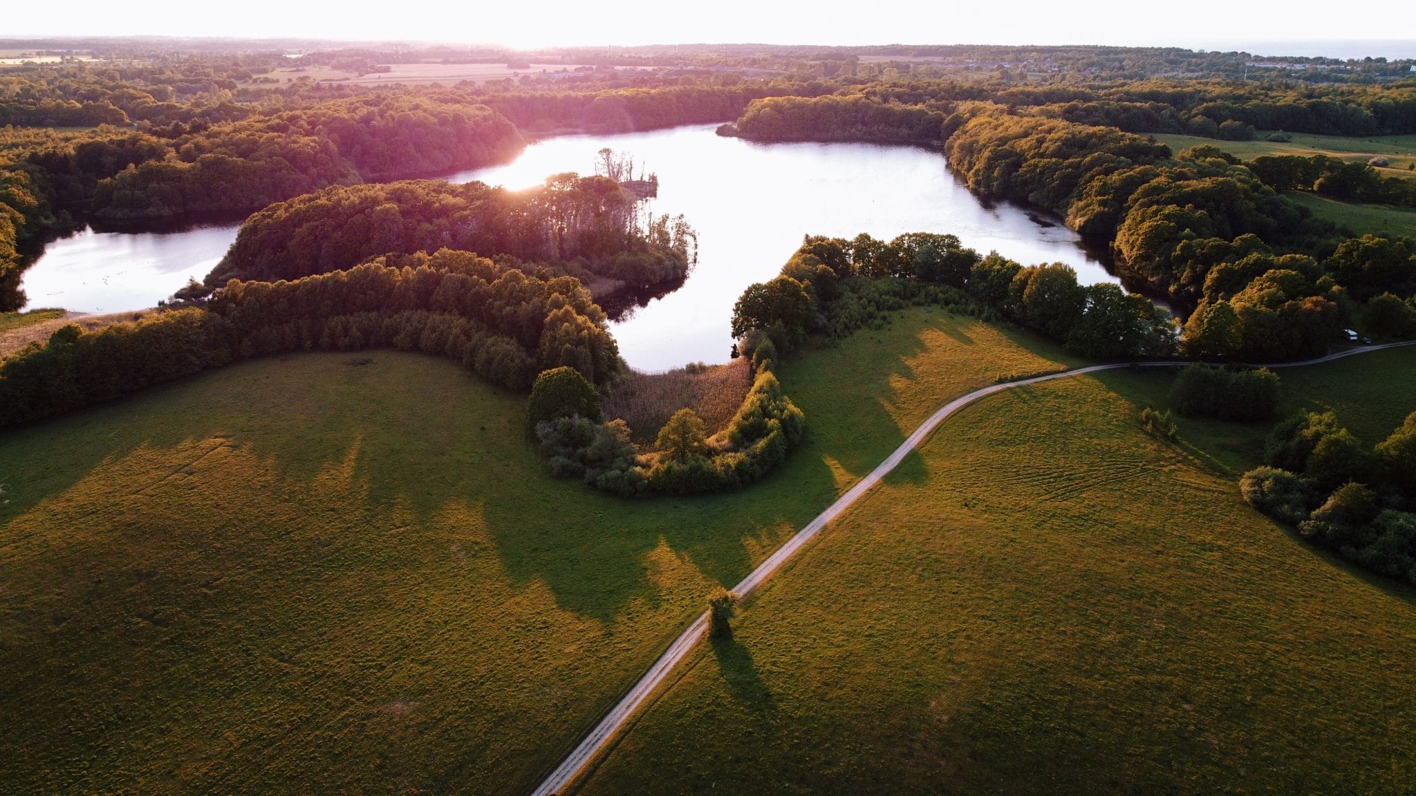 Hellebæh kohave