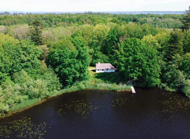 Anes hus Bøgeholm skov