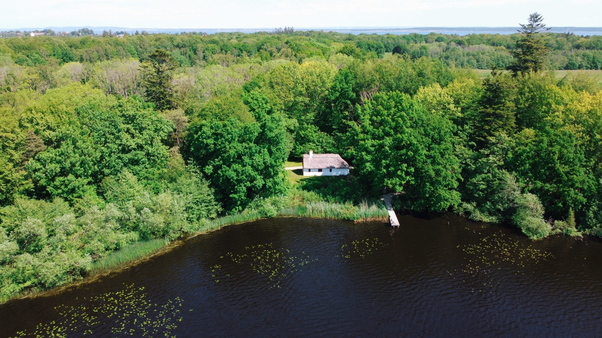 Anes hus Bøgeholm skov