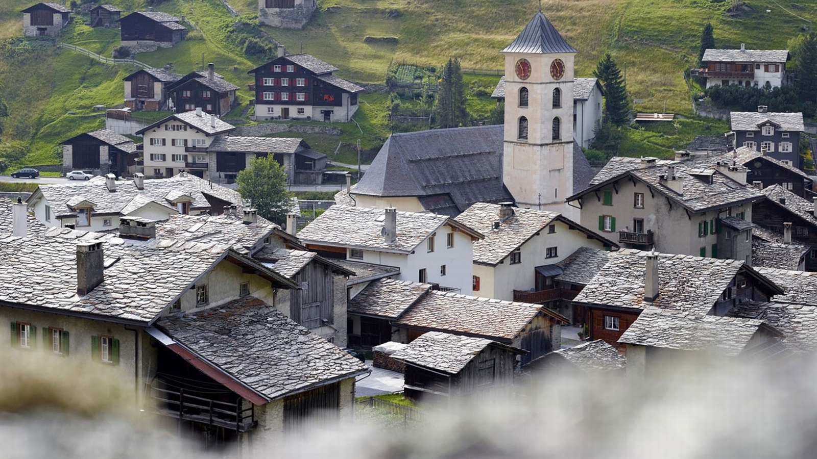 wakkerdorf-vals-im-sommer