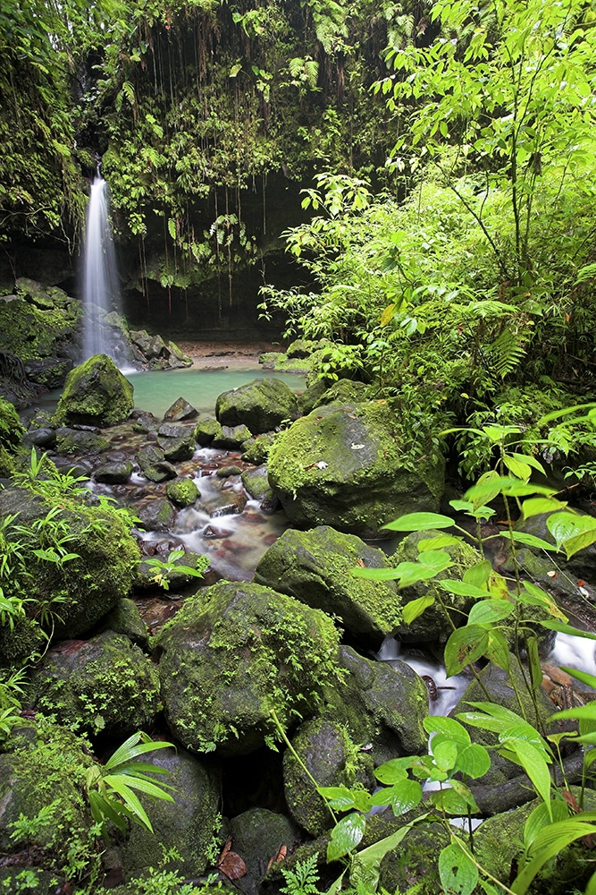 Felecool-Dominica-paradis-pa-jord - AdobeStock_1118282.jpeg