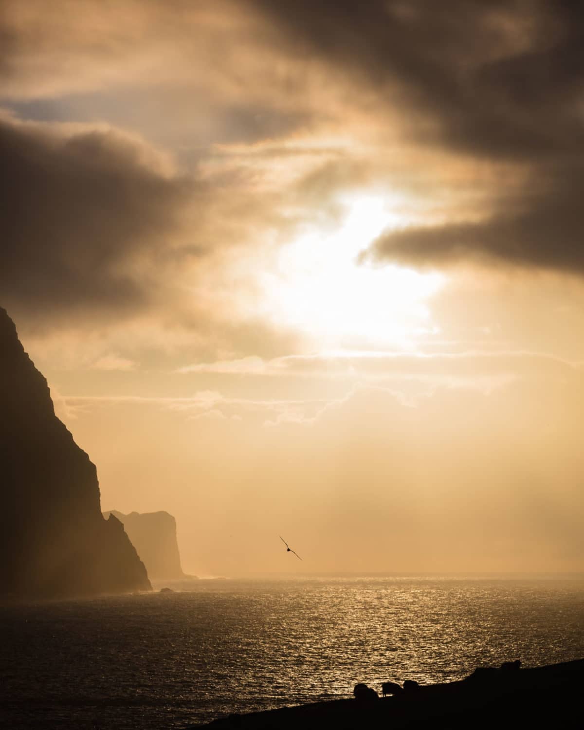 Forelsket-i-Færøerne - anhede-faroe-islands-vidareidi-2.jpg