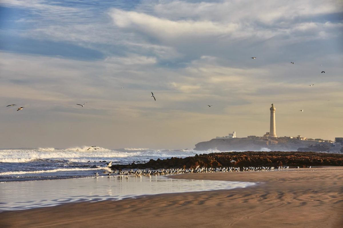 Four-Seasons-Casablanca - 113787333.jpg