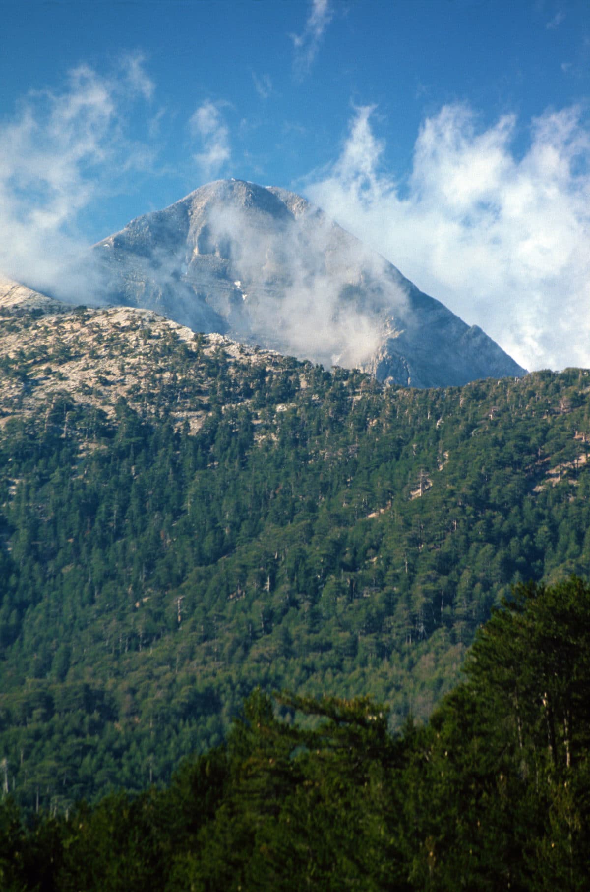 Grækenland-alternative-tourism - 17.Taygetos_Peloponnese_photo-GNTO-A-Bonetti.jpg