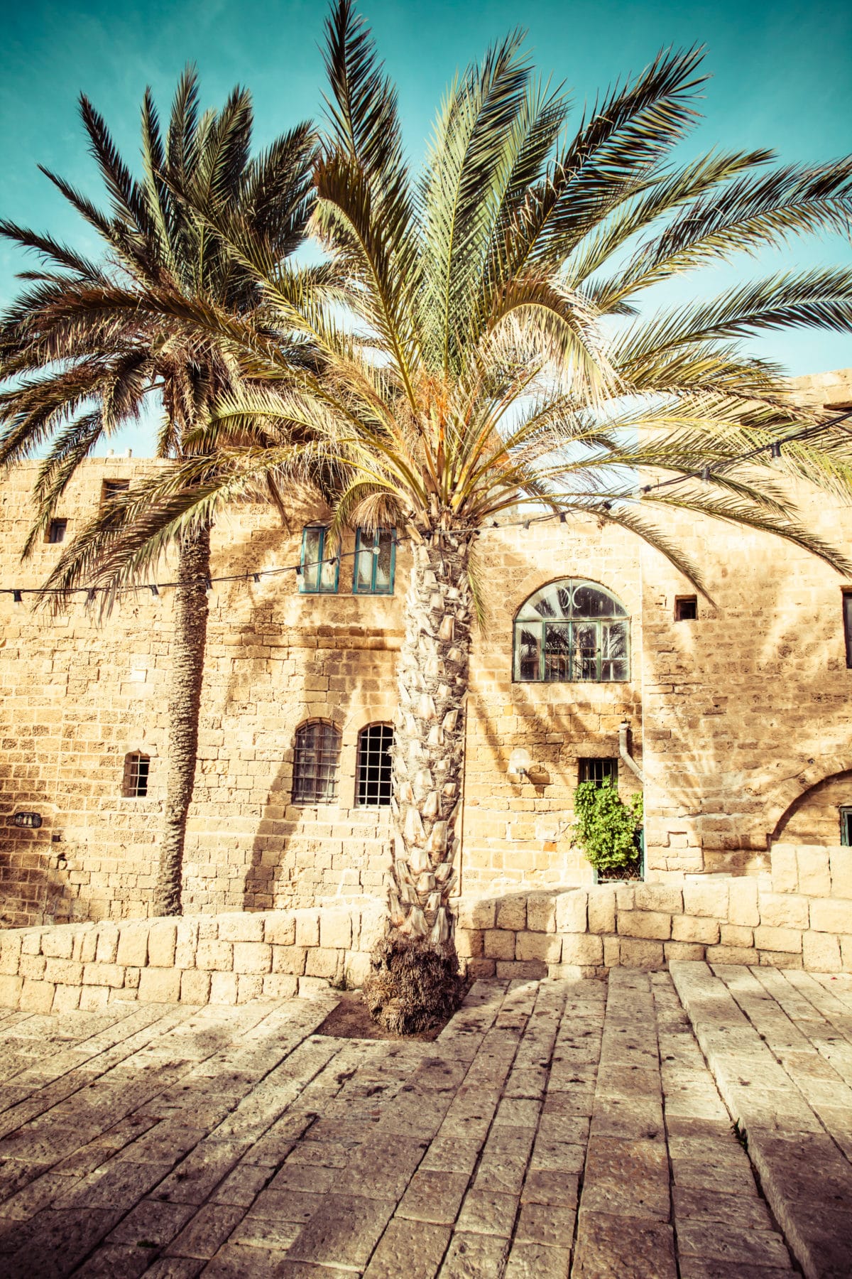 Israel-kontrasternes-land-felecool - AdobeStock_58989543.jpeg