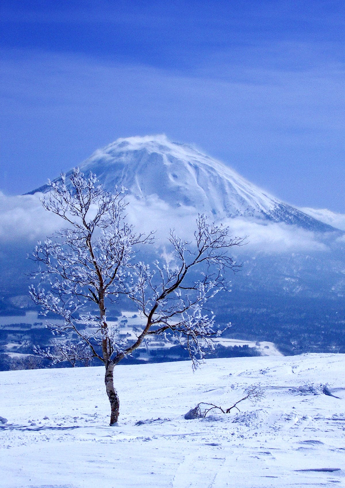 Japan-Niseko-Peter-Esben - AdobeStock_1027532.jpeg