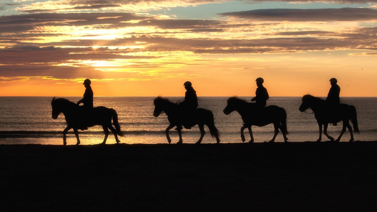 Lofoten - rideturlinebaundanielsenhovlofoten.jpg