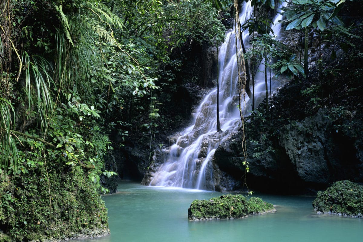 Rohan-Marley-guld-ø-Jamiaca - Jamaica-Portland.jpg