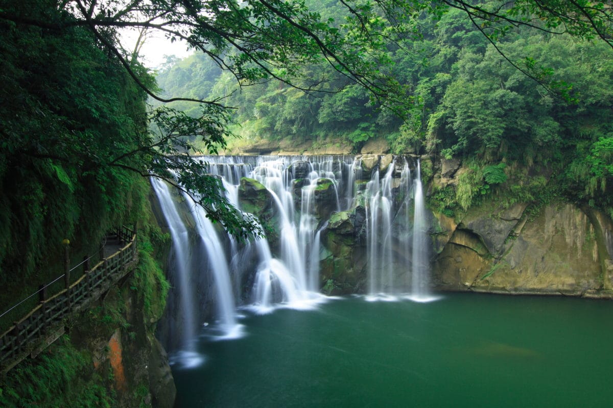 Rohan-Marley-guld-ø-Jamiaca - Jamaica.jpg