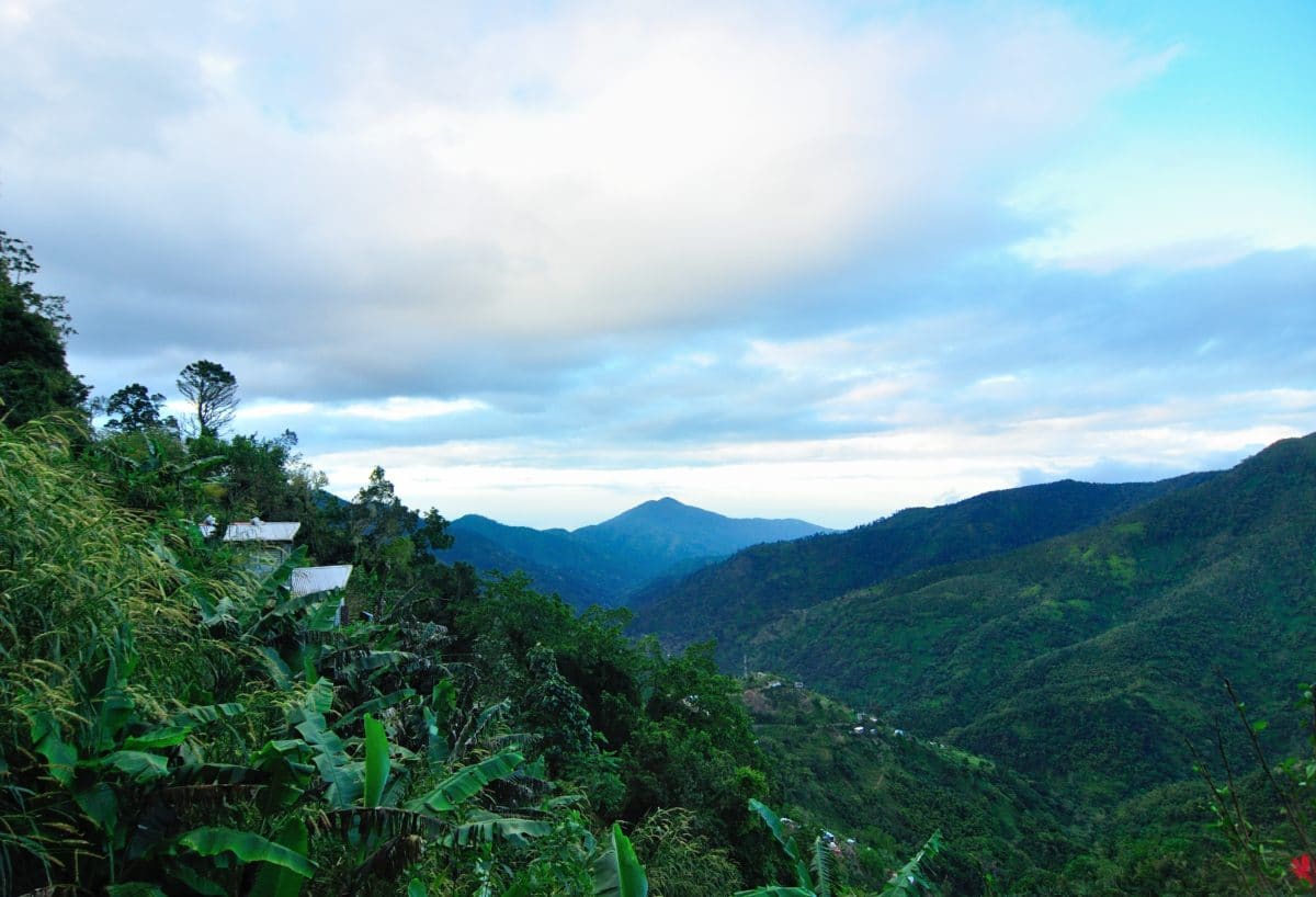 Rohan-Marley-guld-ø-Jamiaca - TE_Jamaica_BlueMountains.jpg