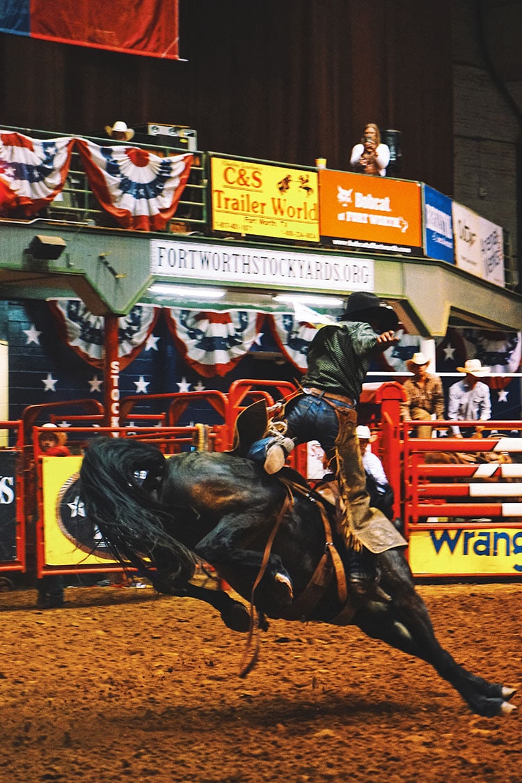 FortWorth-rodeo-felecool - 551E3786-4C3C-4F19-9C52-0C033940C674.jpg