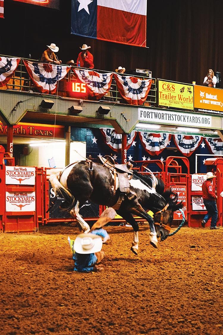 FortWorth-rodeo-felecool - 7368AA5F-F2C1-41EF-9F80-74D53DCF375B.jpg