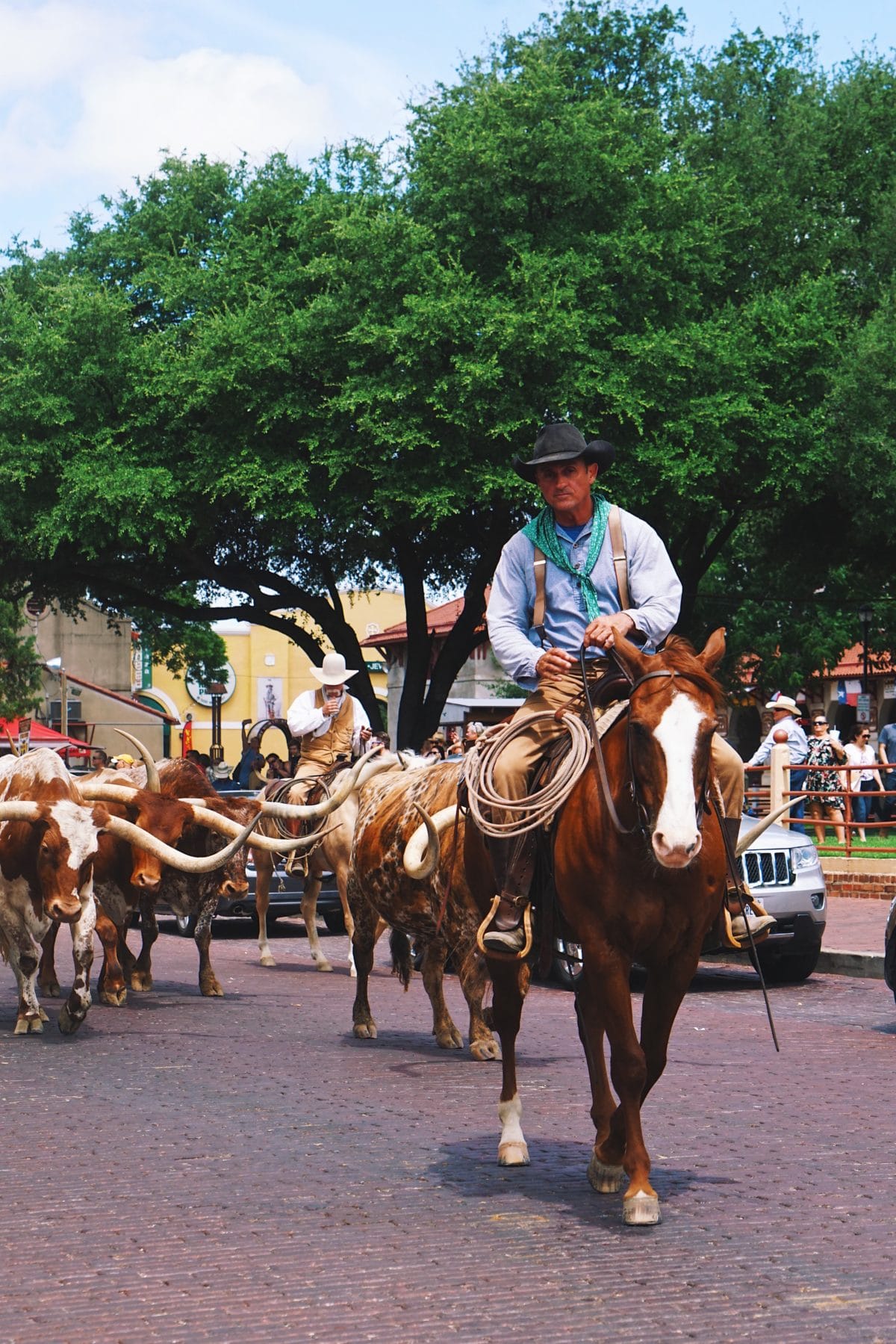 FortWorth-rodeo-felecool - Billede-17-06-2018-01.43.59.jpg