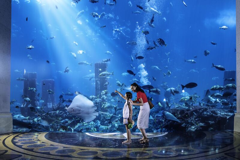 familieoplevelser-i-Dubai - Medium-DT_Family_Aquarium_AtlantisResort_1_HR.jpg